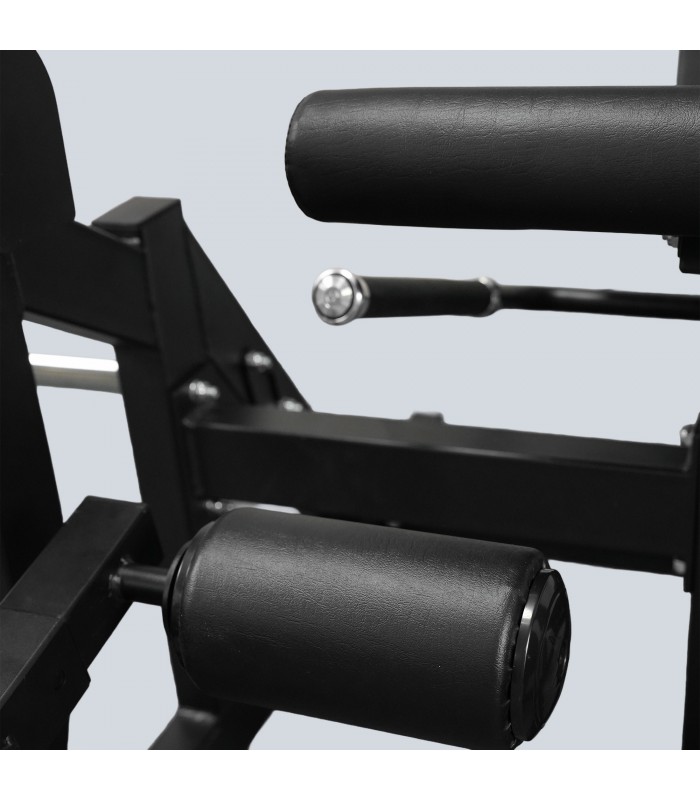 Iso lateral leg extension