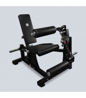 Dual leg extension / curl