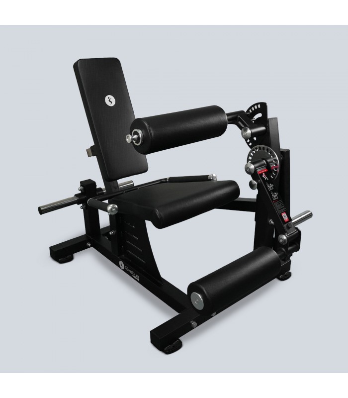 Dual leg extension / curl