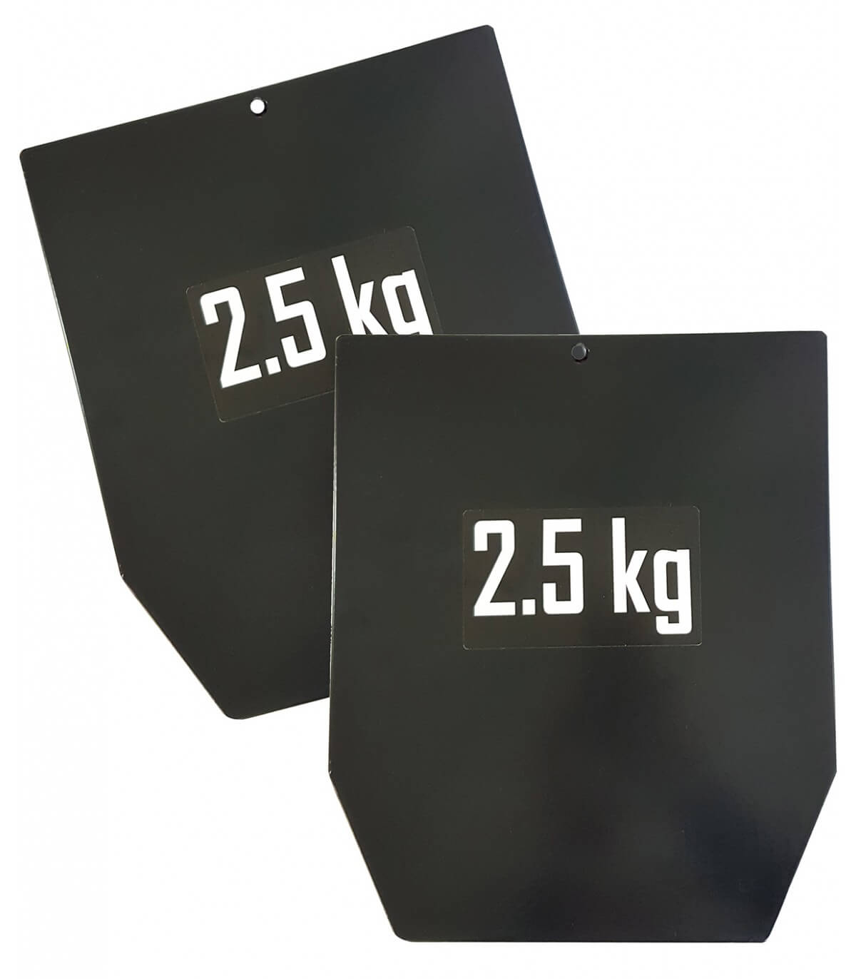 Pro Iron | Weighted Vests (PRO-FZSD03) - Sports & Games