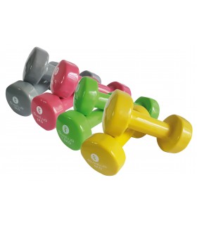 Epoxy dumbbell x2