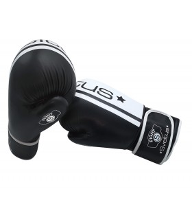 Cant Box Challenger x2