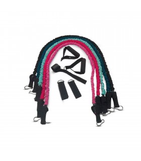 Set von 5 Pro elastischen Riemen